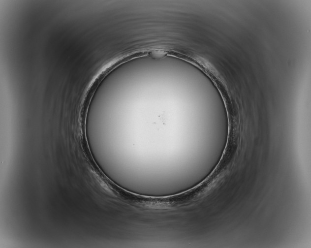 X0000086330789200704202040