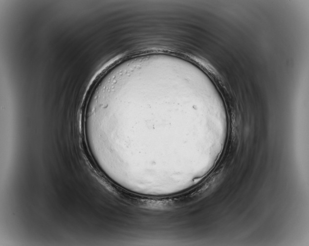 X0000086330790200704202040