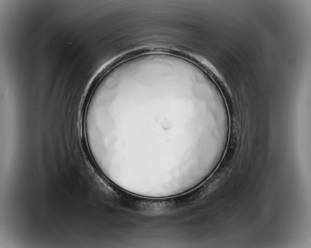 X0000086330791200704202040