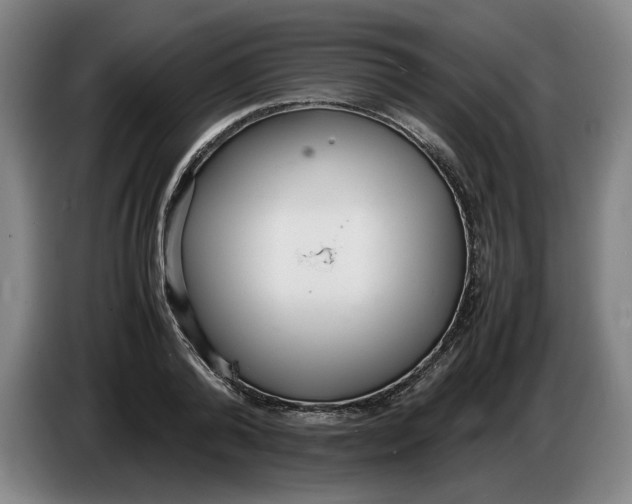 X0000086330792200704202040