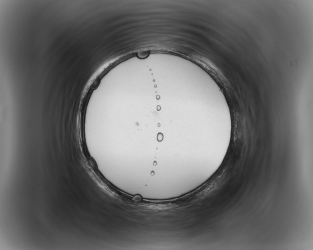 X0000086330796200704202040