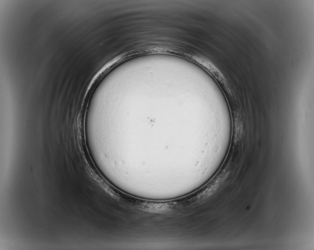 X0000086330798200704202040