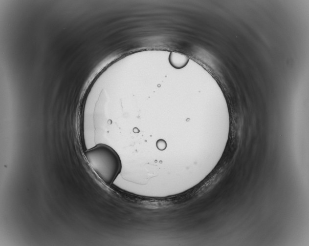 X0000086330804200704202040