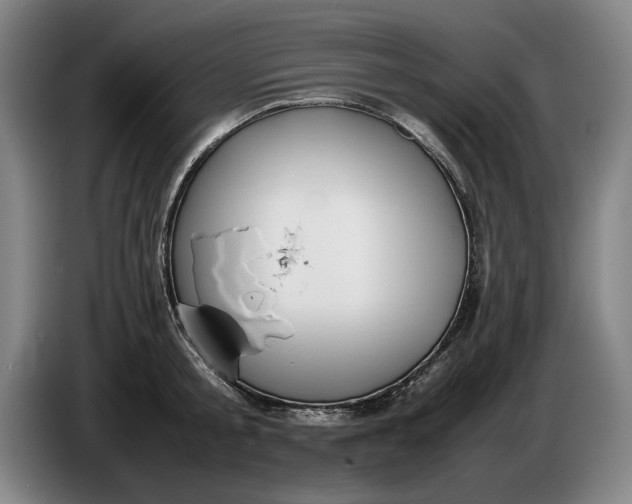 X0000086330805200704202040