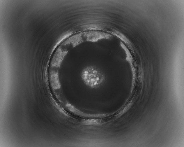 X0000086330806200704202040