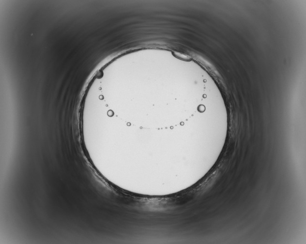 X0000086330808200704202040