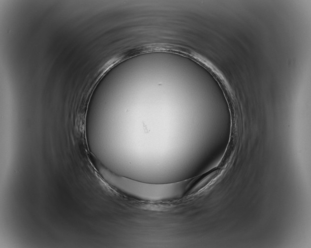 X0000086330809200704202040