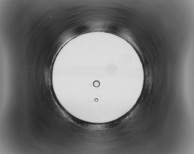 X0000086330810200704202040