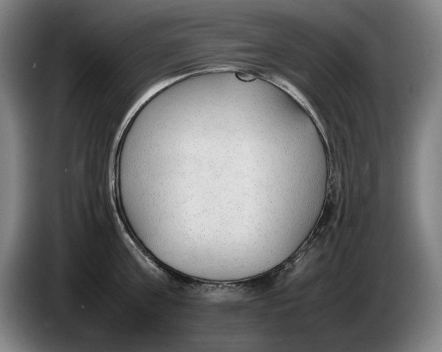 X0000086330811200704202040