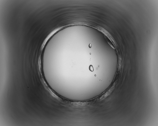 X0000086330812200704202040