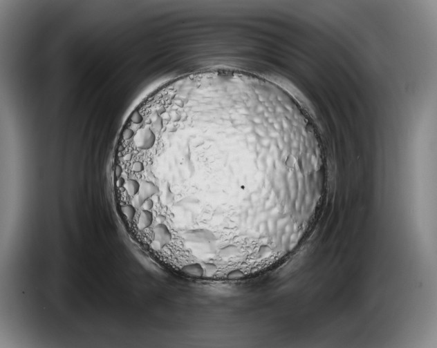 X0000086330814200704202040