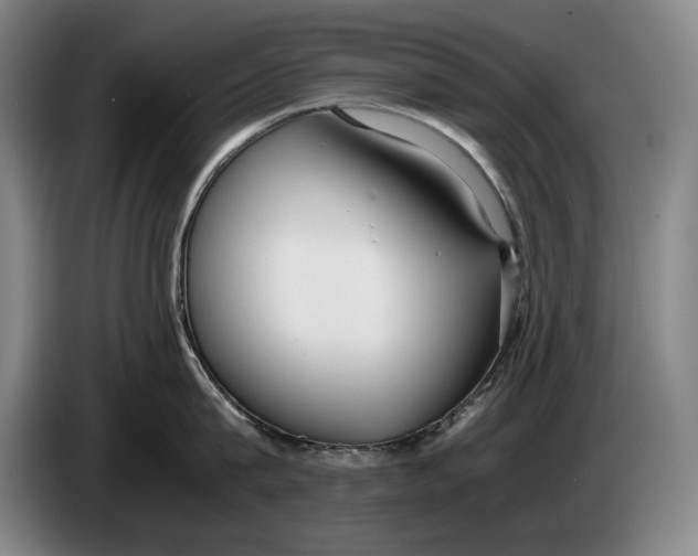 X0000086330815200704202040