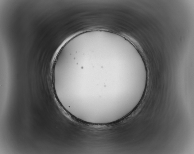 X0000086330816200704202040