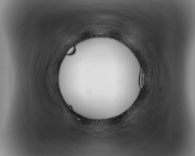 X0000086330817200704202039