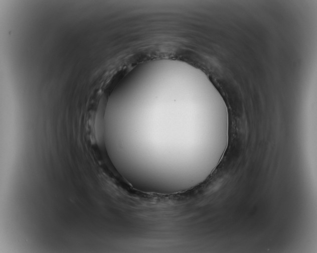 X0000086330818200704202039