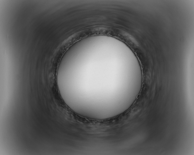 X0000086330821200704202039