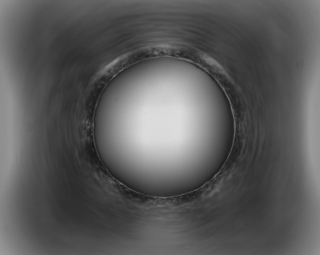 X0000086330822200704202039