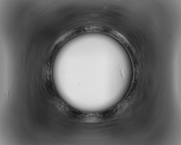 X0000086330823200704202039