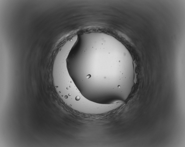 X0000086330824200704202039