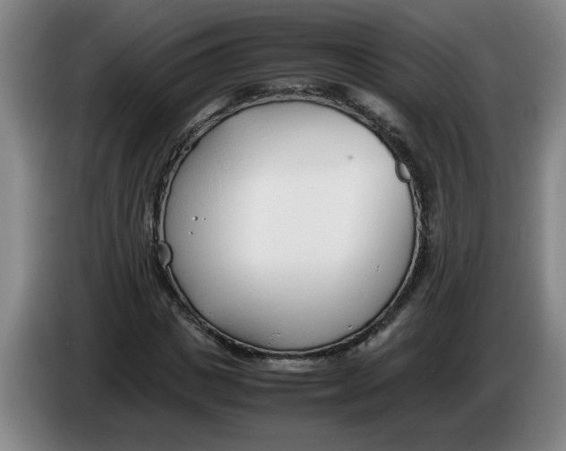 X0000086330825200704202039