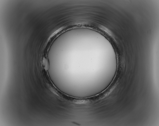 X0000086330826200704202040