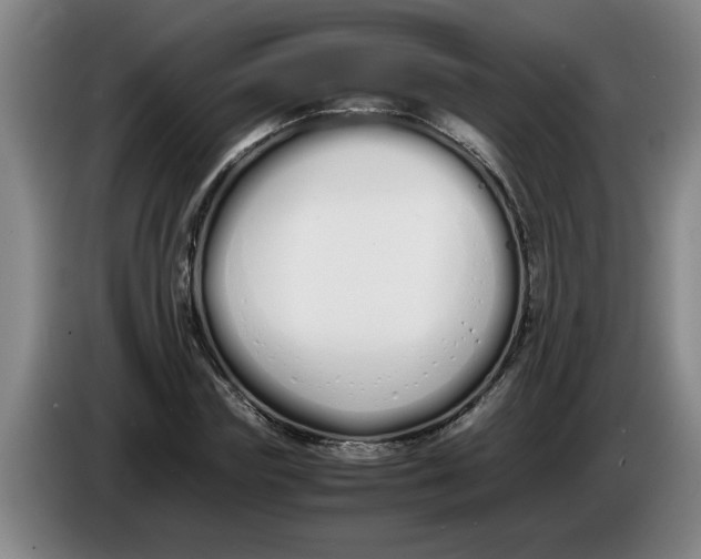 X0000086330827200704202040