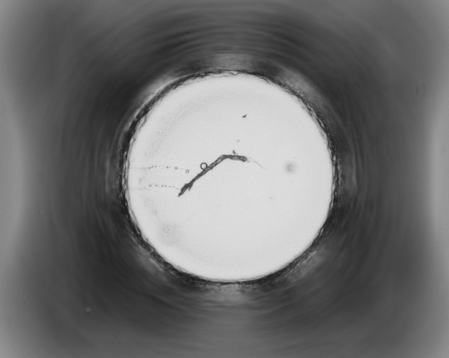 X0000086330828200704202040