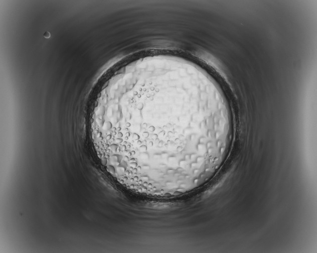 X0000086330829200704202040