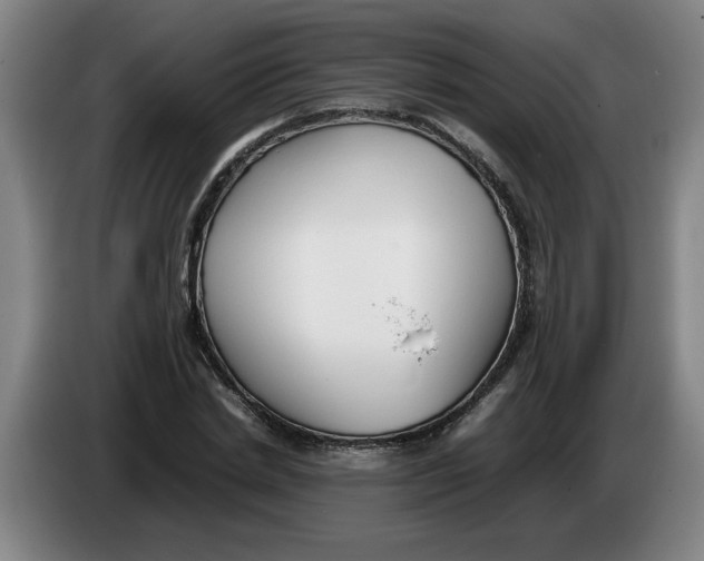 X0000086330830200704202040