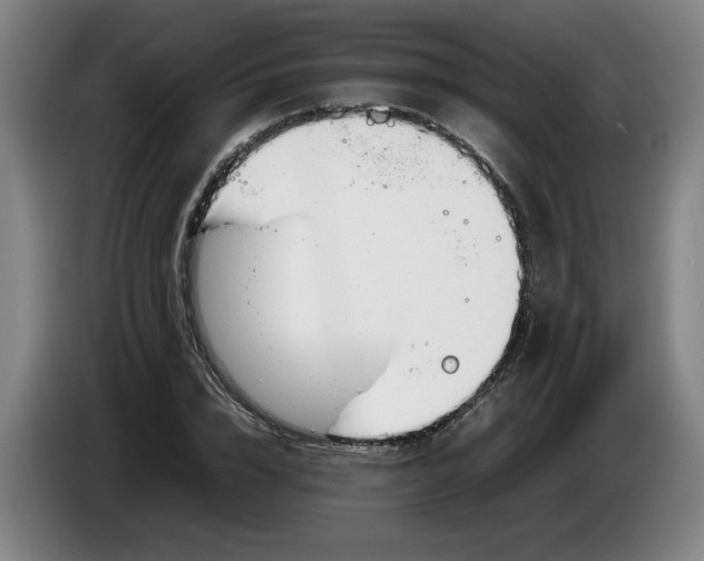 X0000086330832200704202040