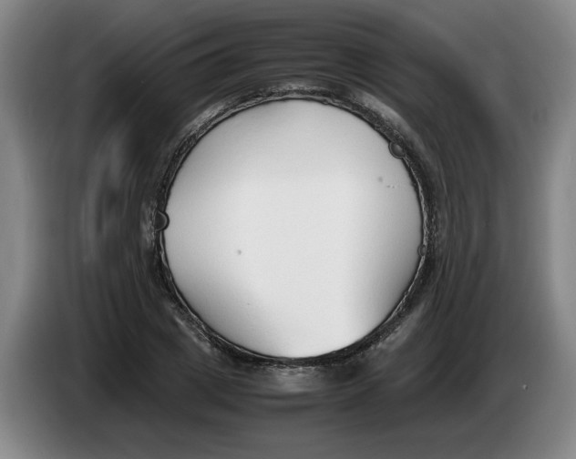 X0000086330833200704202040