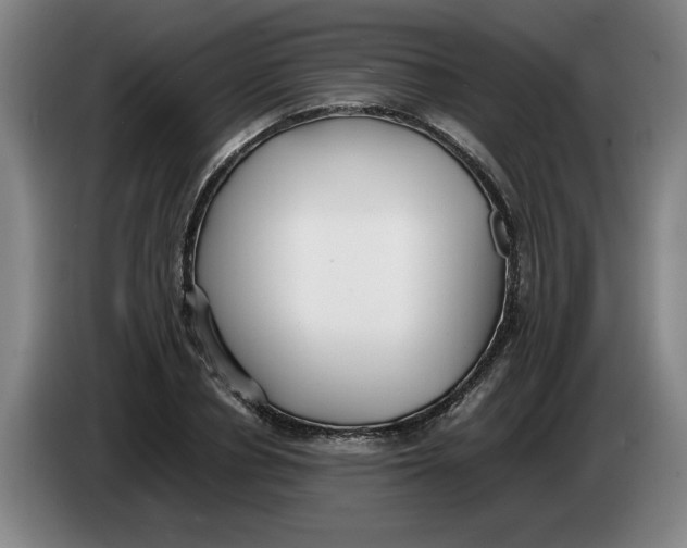 X0000086330834200704202040