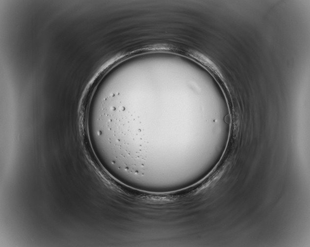 X0000086330835200704202040