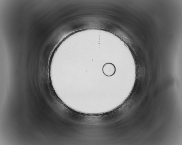 X0000086330836200704202040