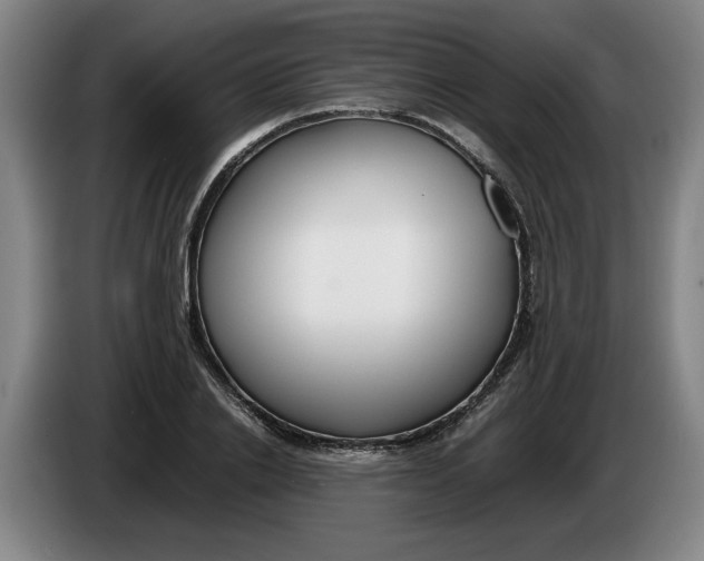 X0000086330838200704202040