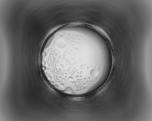 X0000086330839200704202040