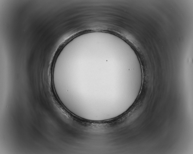 X0000086330840200704202040