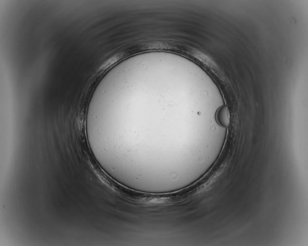 X0000086330841200704202040