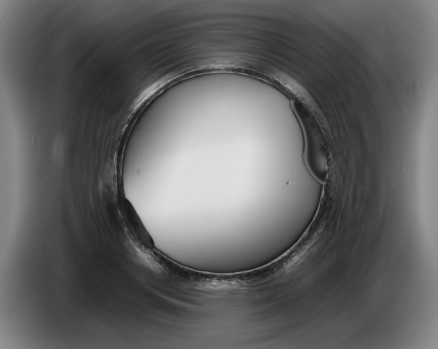 X0000086330842200704202040