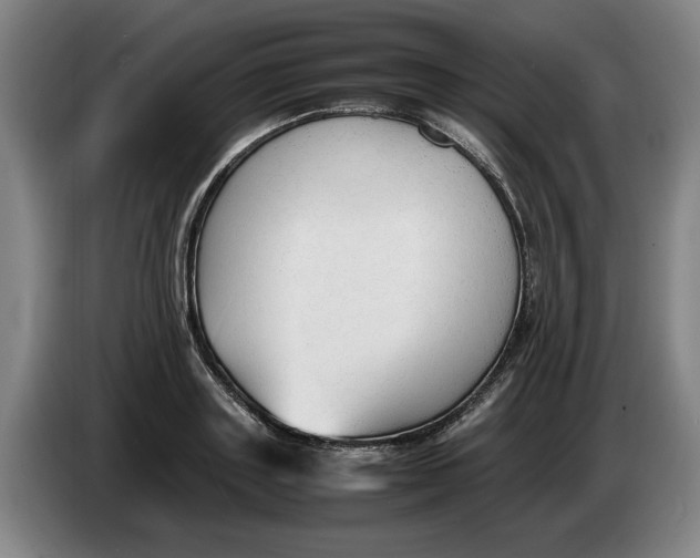 X0000086330843200704202040