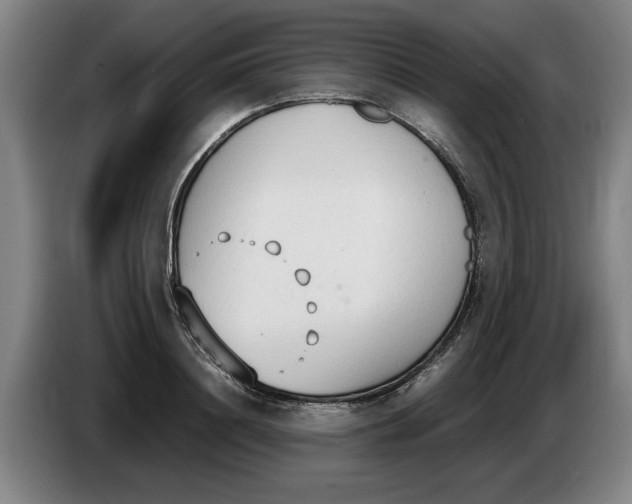 X0000086330844200704202040