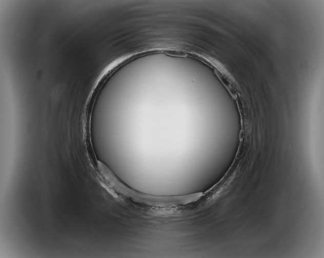 X0000086330846200704202040