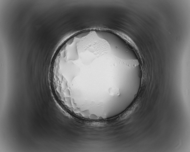 X0000086330847200704202040