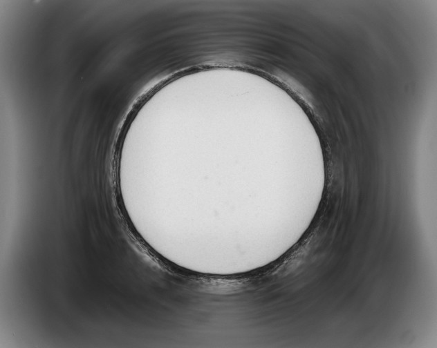 X0000086330848200704202040