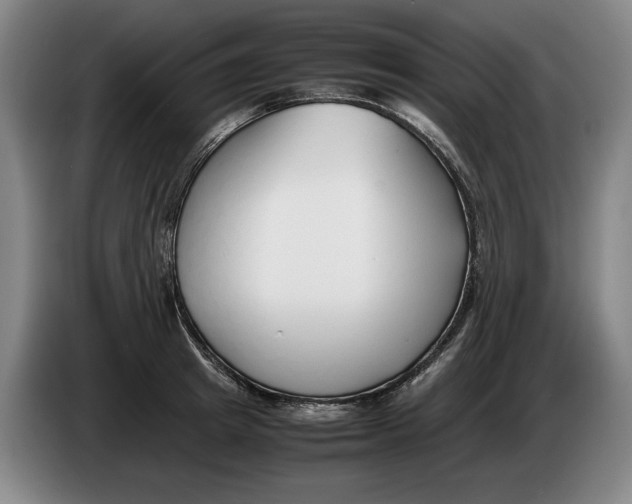 X0000086330849200704202040