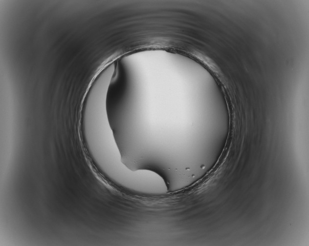 X0000086330850200704202040