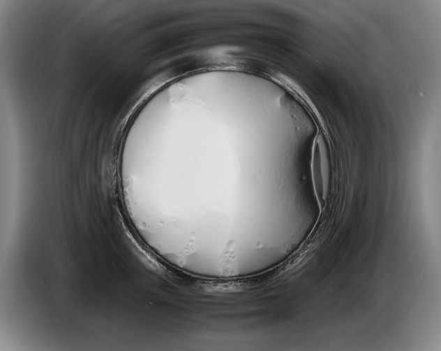 X0000086330851200704202040