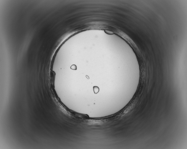 X0000086330852200704202040