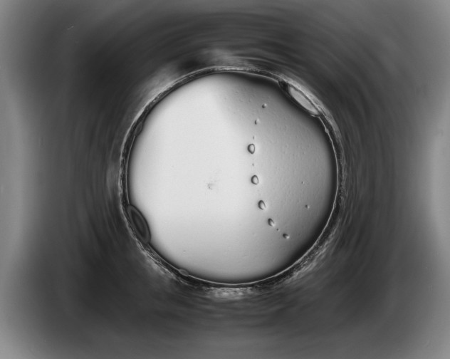 X0000086330853200704202040