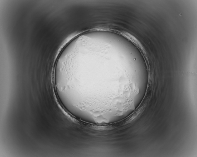 X0000086330855200704202040